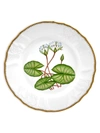ANNA WEATHERLY WATERLILY PORCELAIN SALAD PLATE,400011964312