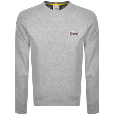 Lacoste X National Geographic Leopard Croc Logo Sweatshirt In Gray-grey In Grey