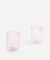 HAY TINT TUMBLERS SET OF TWO,000631613