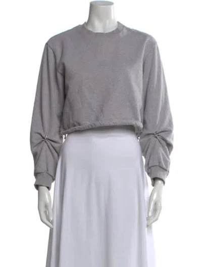 Pre-owned 3.1 Phillip Lim Crew Neck Long Sleeve Crop Top In Gray