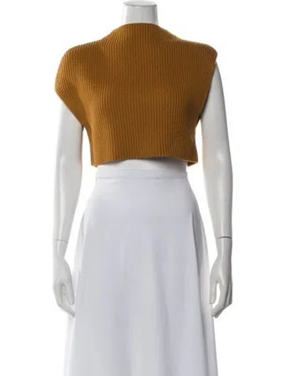 Pre-owned 3.1 Phillip Lim Merino Wool Mock Neck Crop Top In Brown