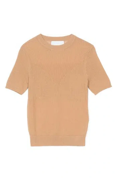 3.1 Phillip Lim Sheer Rib Short Sleeve Pullover In Brown