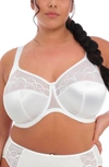 Elomi Cate Full Figure Underwire Lace Cup Bra El4030, Online Only In White