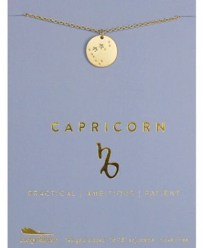 Lucky Feather Zodiac Gold-tone Charm Necklace, Capricorn In Purple