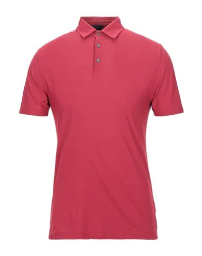 Zanone Man Polo Shirt Red Size 40 Cotton