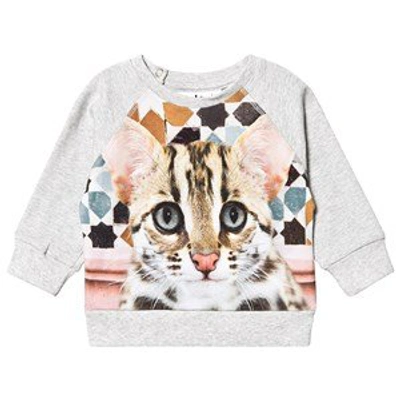 Molo Babies' Grey Kitty Kitty Elsa T-shirt