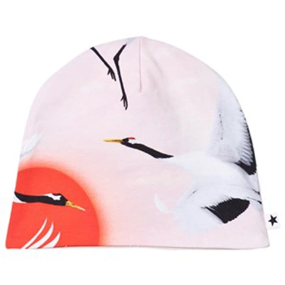 Molo Babies' Ned Beanie Sunrise Cranes In Pink