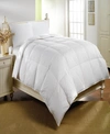 ST. JAMES HOME CLOSEOUT! ST. JAMES HOME DOWN FILLED LIGHTWEIGHT COMFORTER KING