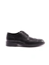 TOD'S BROGUES SHOES,11641815