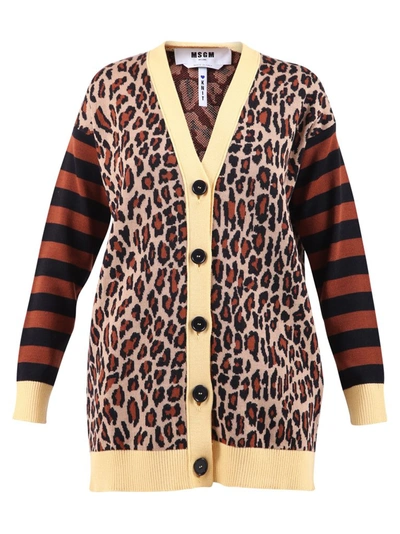 Msgm Leopard Print Striped Cardigan In Brown