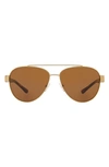 Tory Burch 60mm Polarized Aviator Sunglasses In Gold Brown