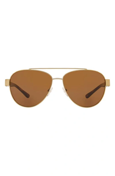 Tory Burch 60mm Polarized Aviator Sunglasses In Gold Brown