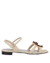 CAVALLI CLASS SANDALS,11974656UK 11