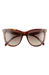 CELINE 53MM GRADIENT CAT EYE SUNGLASSES,CL40149IW5352H