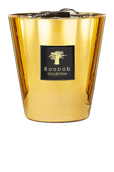 Baobab Collection Les Exclusives Candle In Gold