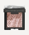 Chantecaille Zebra Luminescent Eye Shade In Zebra
