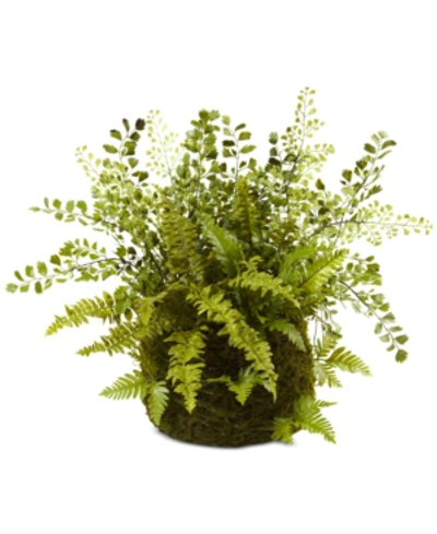 Nearly Natural Mixed Fern With Twig & Moss Basket In Green