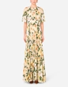 Dolce & Gabbana Camelia Print Silk Georgette Maxi Dress In Floral Print