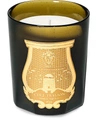 Cire Trudon Ernesto Scented Candle (800g) In Green