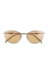 Longchamp 55mm Oval Sunglasses In Gold Bourbon/ Honey
