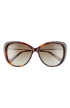 LONGCHAMP 56MM CAT EYE SUNGLASSES,LO674SL