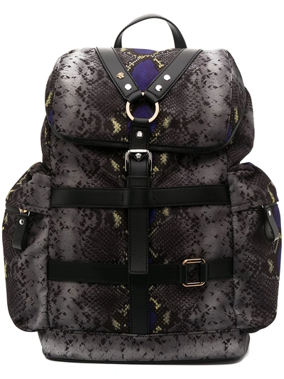 Versace Snakeskin-print Backpack In Grey
