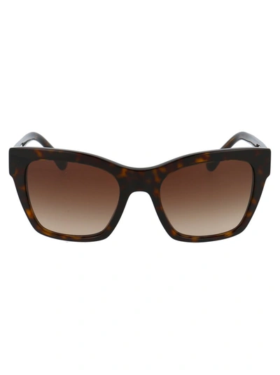 Dolce & Gabbana 0dg4384 Sunglasses In Brown