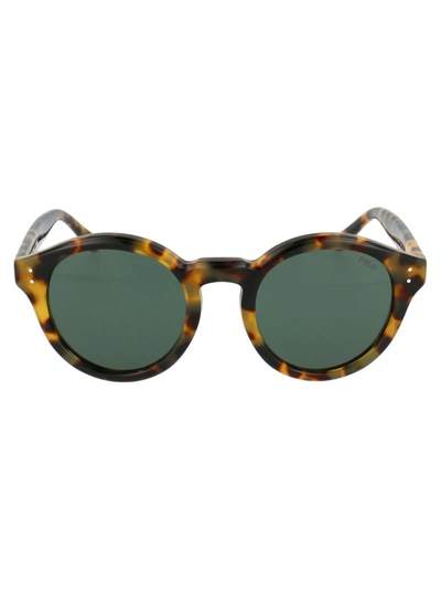 Polo Ralph Lauren Round Frame Sunglasses In Green