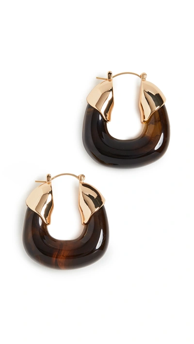 Lizzie Fortunato Women's Organic Acrylic Gold-plated Hoops In Tortoise