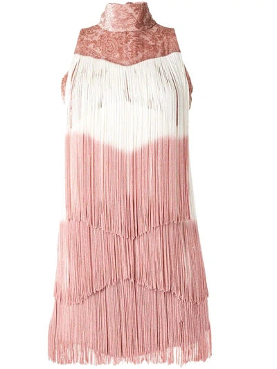Alexis Mayla Fringed Velvet Mini Dress In Blush