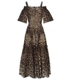 Dolce & Gabbana Leopard-print Cotton Midi Dress In Brown