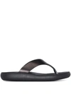 Ancient Greek Sandals Charys Leather Thong Sandals In Black