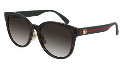 Gucci Gg0854sk 003 Round Sunglasses In Brown