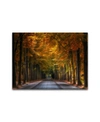 COLOSSAL IMAGES ROAD OF WONDERS, CANVAS WALL ART