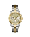 Jbw Women's Muse Diamond (1/5 Ct.t.w.) Stainless Steel Watch In Silver