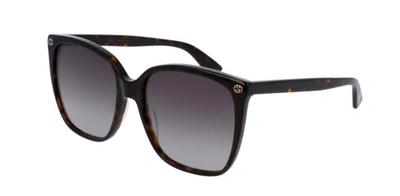 Gucci Gg0022s 003 Square Sunglasses In Dark Havana