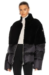 MONCLER COYOTE JACKET,MOWF-MO1