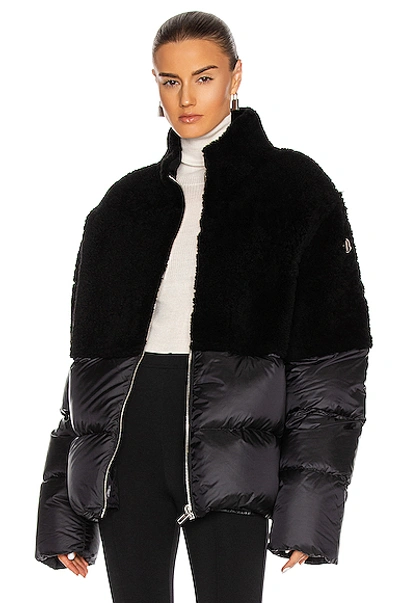 Moncler Coyote Shearling And Quilted Down Jacket In Black