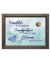 AMERICAN COIN TREASURES LAUGHTER, IMAGINATION, DREAMS WITH BUTTERFLY COIN IN FRAME