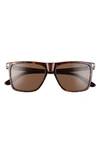 Tom Ford 57mm Fletcher Square Sunglasses In Dark Havana/ Brown