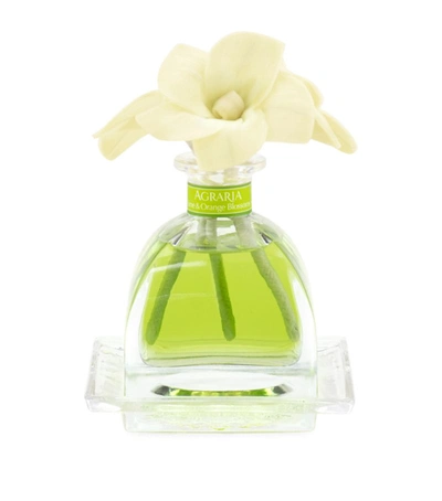 Agraria Lime And Orange Airessence Diffuser (218ml)