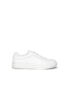 M. Gemi The Palestra In White
