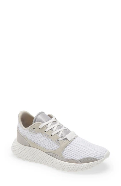 Steve Madden Women's Run Mesh Lace-up Trainers In Grey Multi