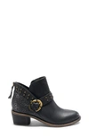 Halsa Footwear Melania Bootie In Black Leather