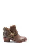 Halsa Footwear Melania Bootie In Taupe Leather