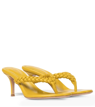 Gianvito Rossi Tropea Braided Leather Thong Sandals In Yellow