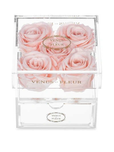 Venus Et Fleur Lé Clair Cinq Eternity Roses