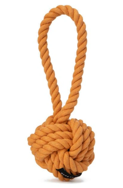 Max-bone Knotted Cotton Rope Dog Toy In Rust