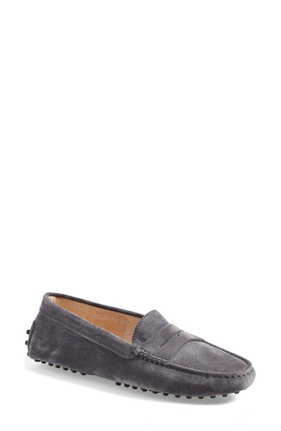 Tod's Gommino Suede Driving Loafers In Grey