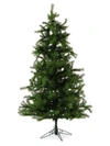 FRASER HILL FARMS 9-FT. SOUTHERN PEACE PINE CHRISTMAS TREE,400013243823